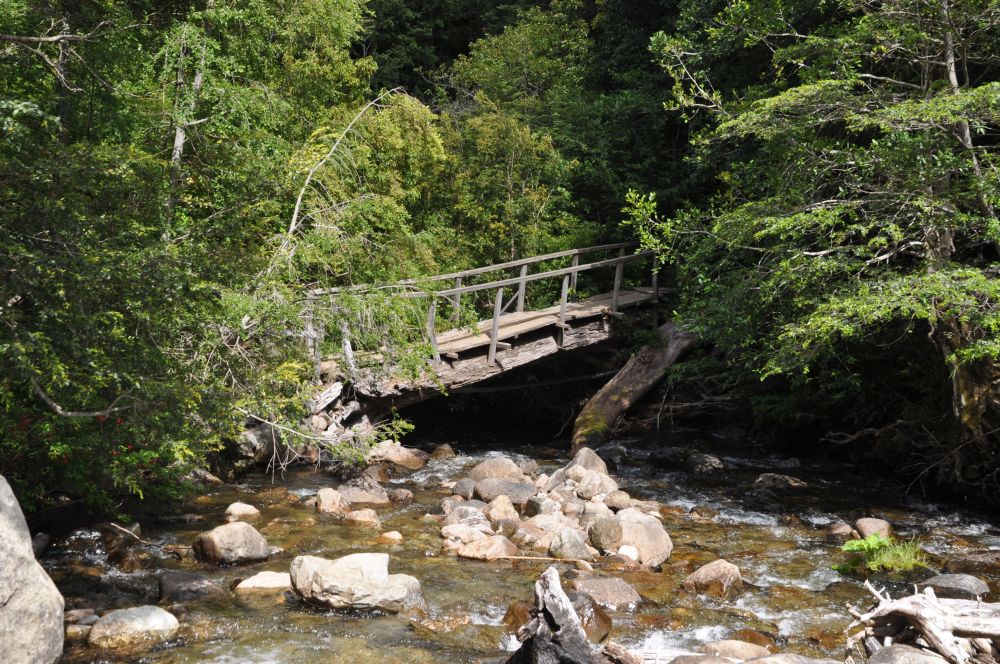 A bridge over a river early along the trail.