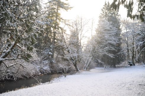 Looking along a different stretch of the creek.