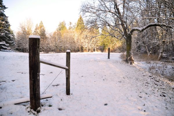 Winter is not so bad when it's this pretty.