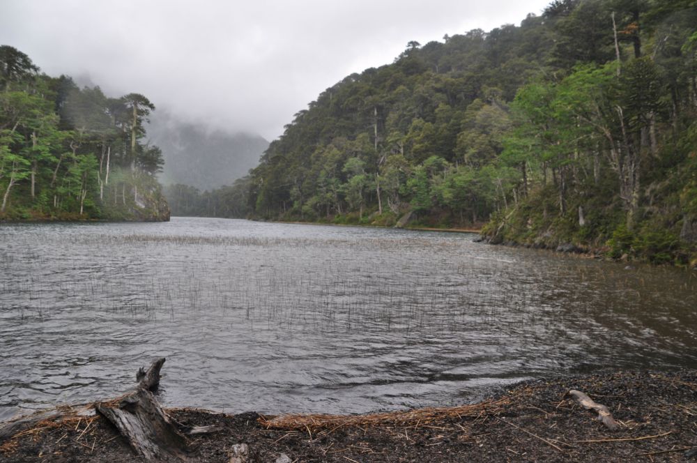 Laguna Del Toro in the pouring rain.
