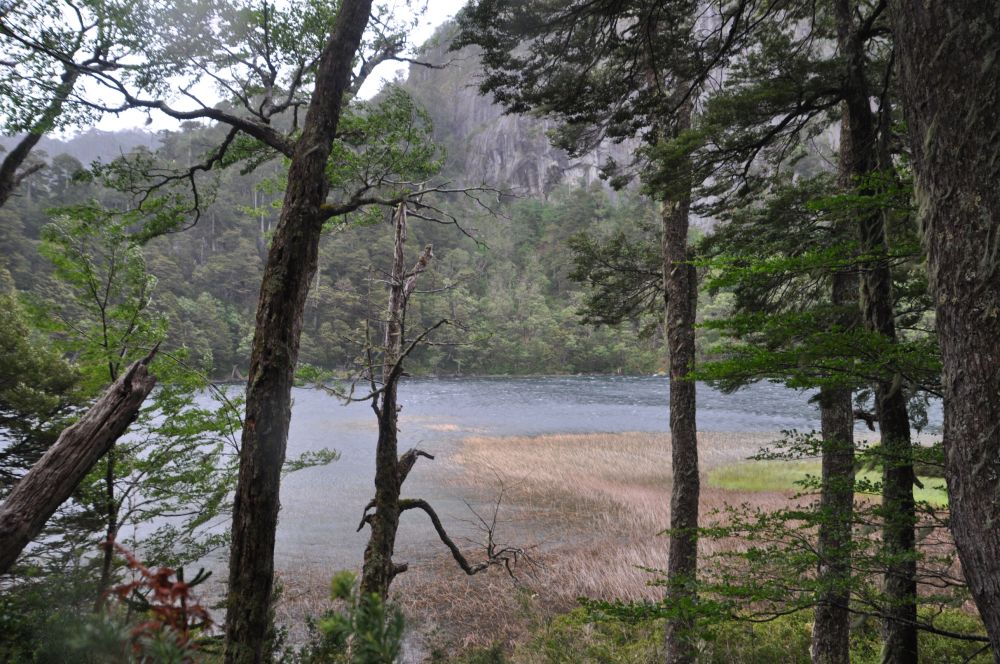 Passing Lago Chico once more, watching the wind whip up little waves on the surface.