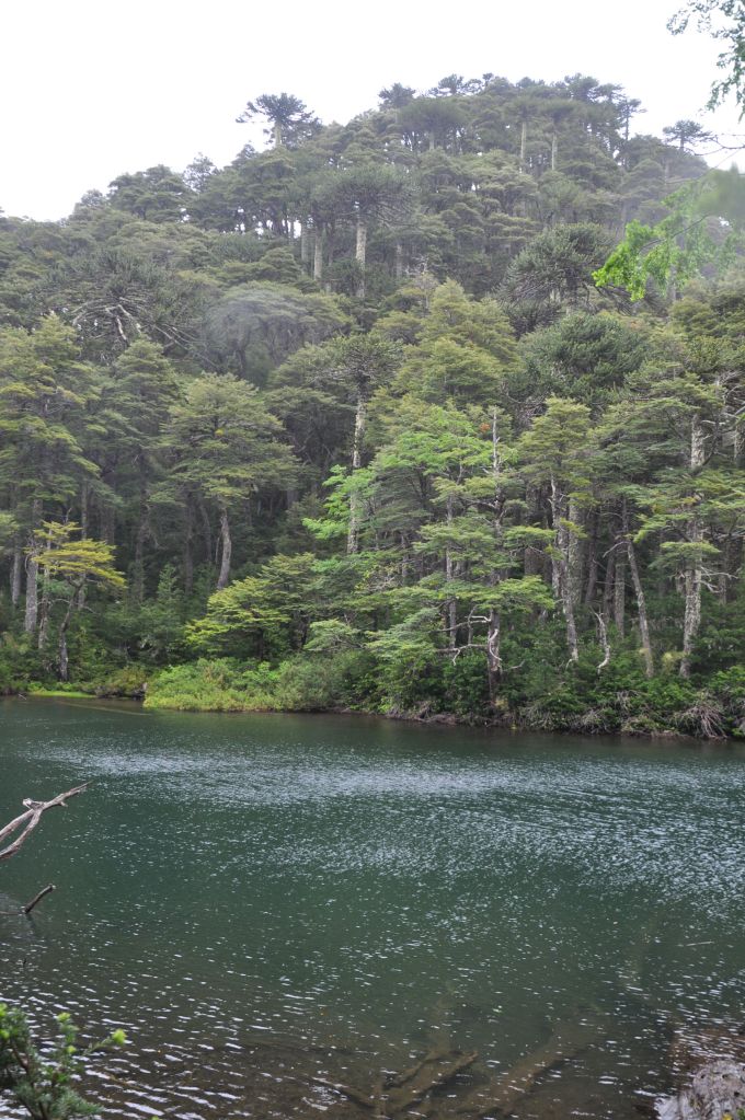 I love that aqua green/blue colour of the water.