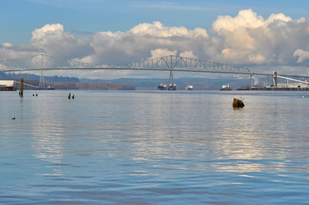 Looking downriver toward Astoria, and the Pacific Ocean. That is the Lewis & Clark Bridge, joining Longview, Washington to Rainier, Oregon