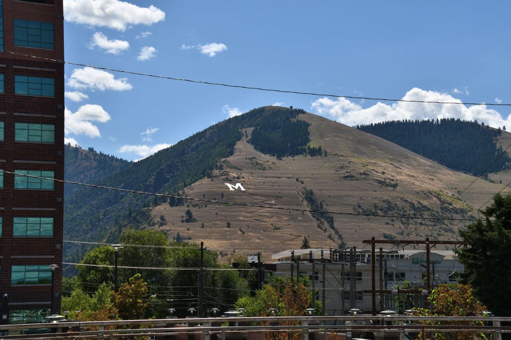 Photograph of M on mountain outside of Missoula.