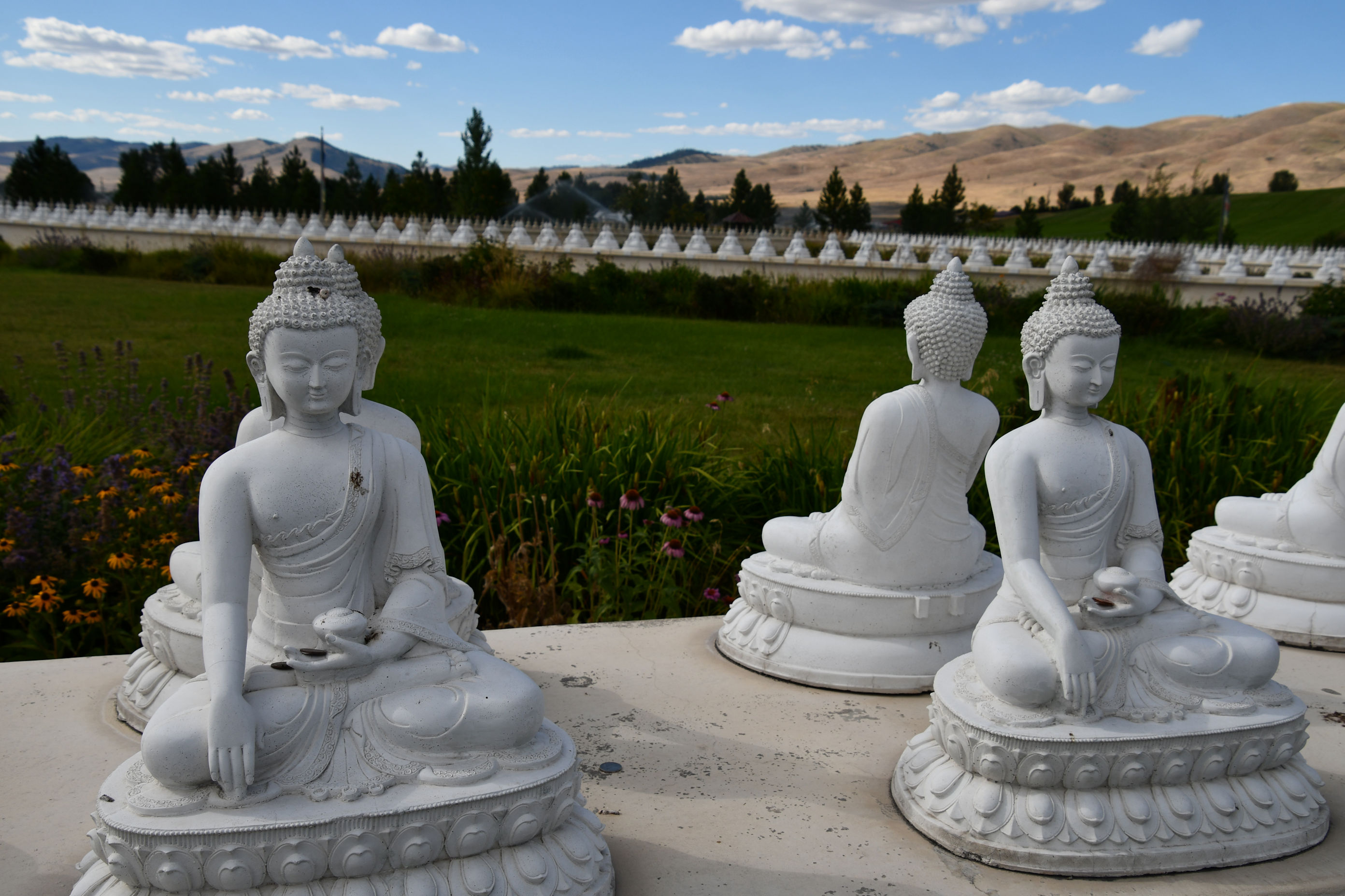 RHODES Moon Nation WAGAMAMA Bungle